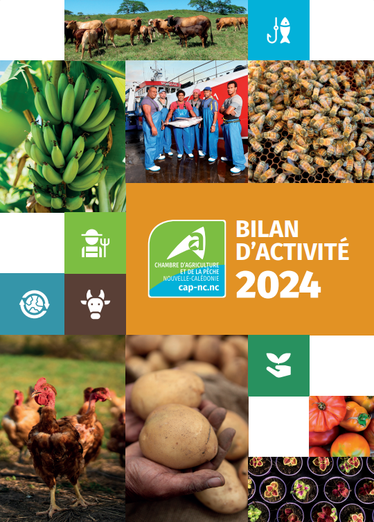 CAP NC | Notre bilan d'activité 2024